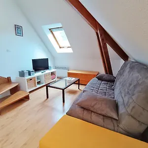 Chez Charlotte, T3 Duplex, Vue Montagne, Parking Gratuit, Ascenseur, 4 Personnes Bagnères-de-Luchon